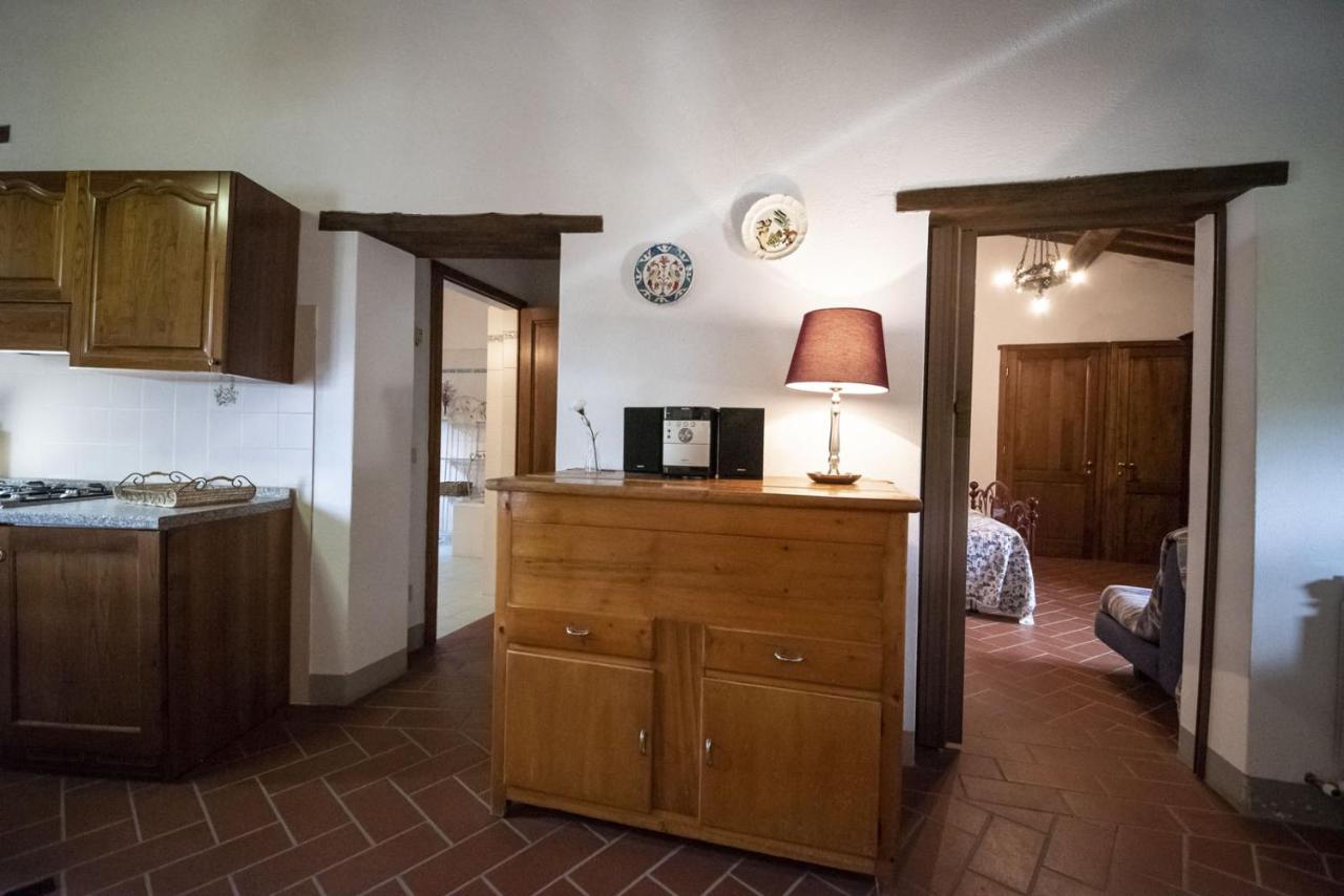 Casa Selvolini - Volpaia Apartment Radda in Chianti Bagian luar foto